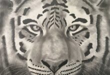 Tiger By Clayton Liotta