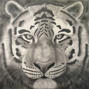 Tiger By Clayton Liotta