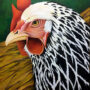 Art Deco Rooster By Aldo Sampieri