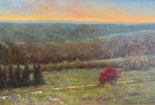 Fly Away By Sue Barrasi