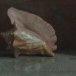 Shell By Rebecca J. Leer
