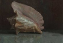 Shell By Rebecca J. Leer
