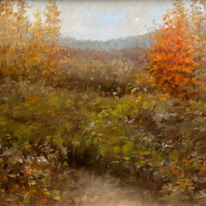 Transition By Sue Barrasi