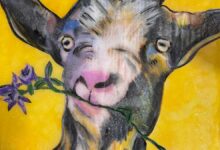 Goat By Wendy Petta-Goldman