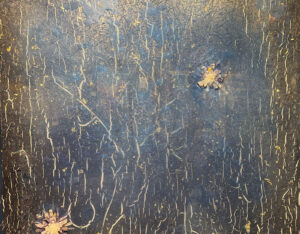 Lotus Blooming By Wendy Petta-Goldman