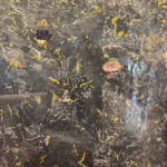 Starlight Night By Wendy Petta-Goldman