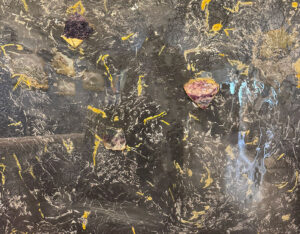 Starlight Night By Wendy Petta-Goldman