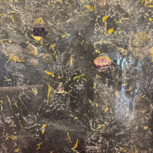 Starlight Night By Wendy Petta-Goldman