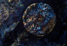 Terrestrial By Roland Comtois