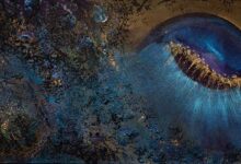 The Invitation By Roland Comtois