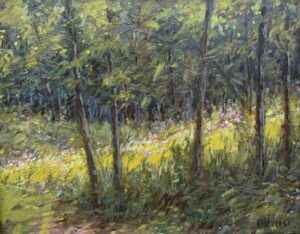 Light Finds A Way By Sue Barrasi