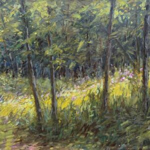 Light Finds A Way By Sue Barrasi