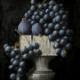 Blue Grapes By Clayton Liotta