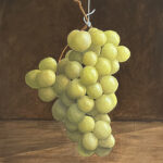 Hanging Grapes By Clayton Liotta