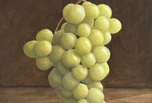 Hanging Grapes By Clayton Liotta