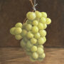Hanging Grapes By Clayton Liotta