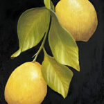 Lemons By Clayton Liotta