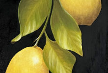 Lemons By Clayton Liotta