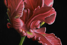 Red Flower By Clayton Liotta