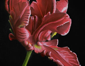 Red Flower By Clayton Liotta