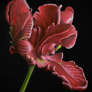 Red Flower By Clayton Liotta