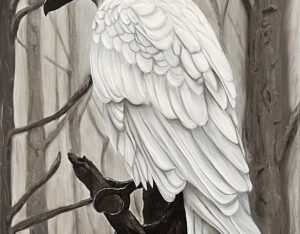 White Crow By Clayton Liotta