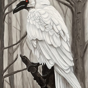White Crow By Clayton Liotta