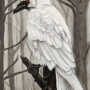 White Crow By Clayton Liotta