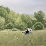 Cow on Deep By George Stewart