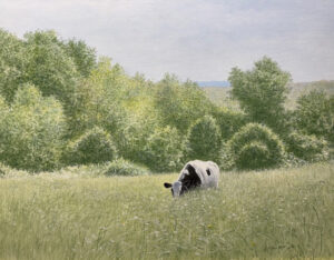 Cow on Deep By George Stewart