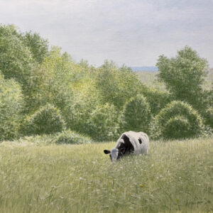 Cow on Deep By George Stewart