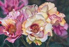 In Your Eyes Roses By Paul Baldassini