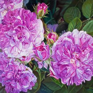 Petite Fragrant Roses By Paul Baldassini