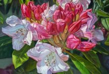 Rhododendron By Paul Baldassini