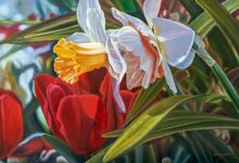 Smith College Spring Bulb Show No. 4 By Paul Baldassini