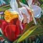 Smith College Spring Bulb Show No. 4 By Paul Baldassini